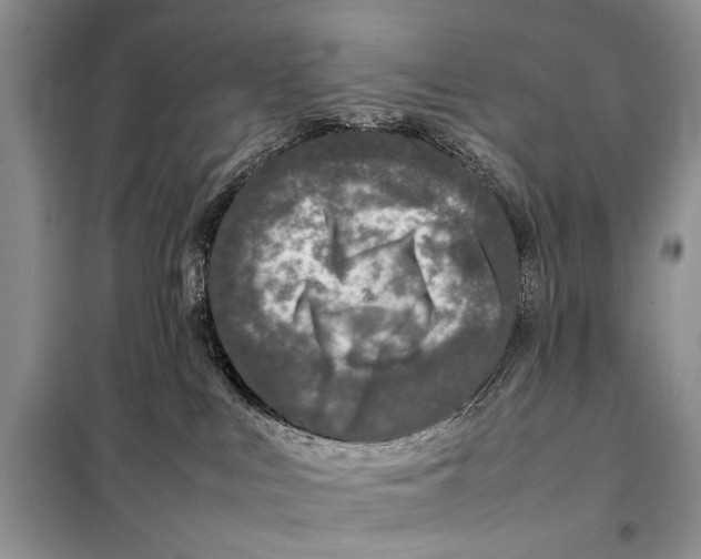 X0000098080043200805021032