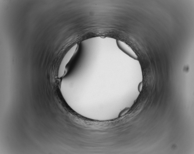X0000098080044200805021032