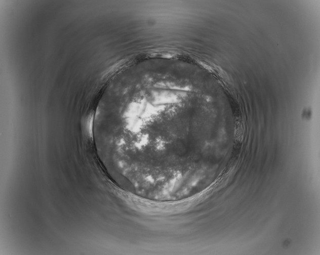 X0000098080047200805021032