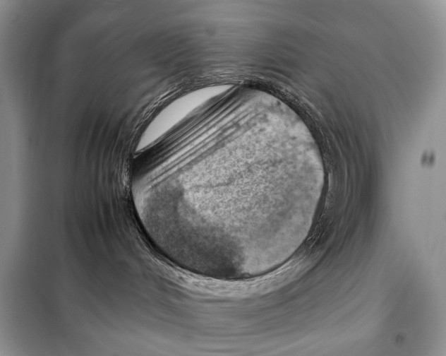 X0000098080048200805021032
