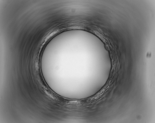 X0000098080050200805021031