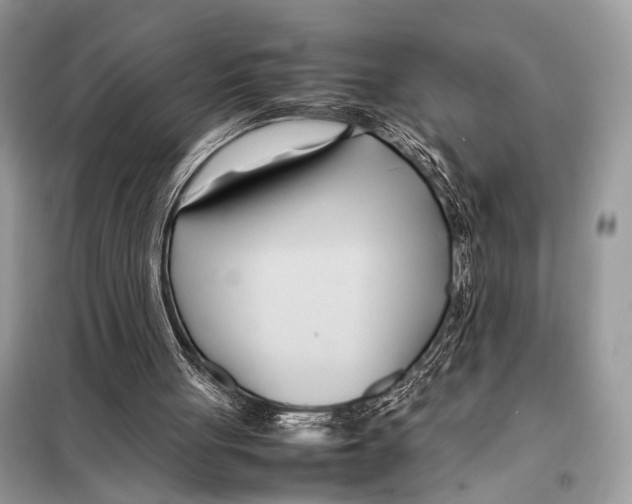 X0000098080051200805021031
