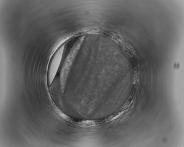 X0000098080052200805021031