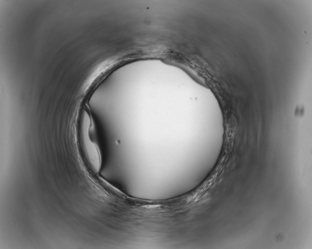 X0000098080054200805021031