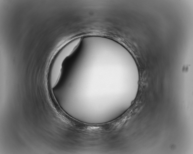 X0000098080055200805021031