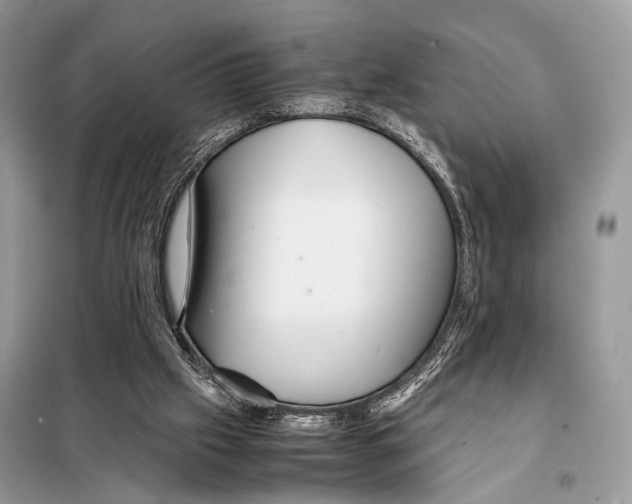 X0000098080057200805021032