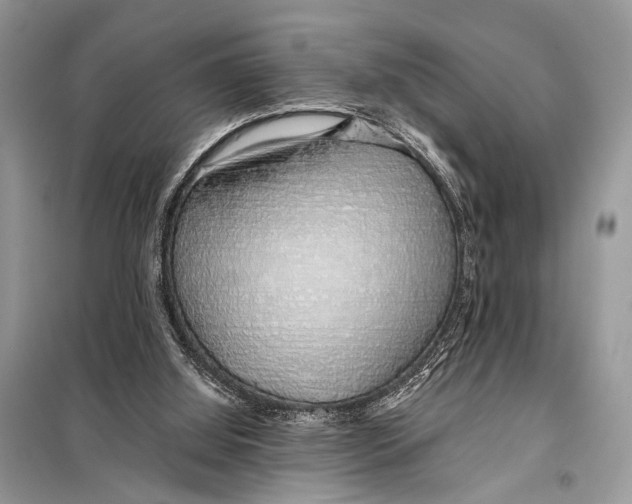 X0000098080060200805021032