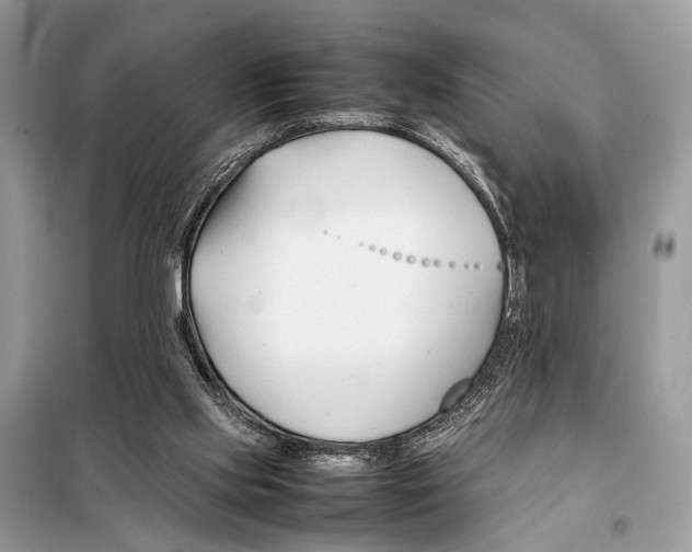 X0000098080061200805021032