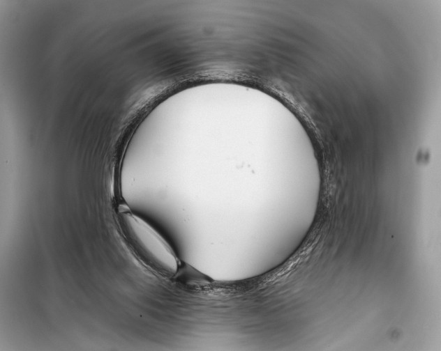 X0000098080062200805021032