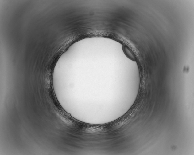 X0000098080065200805021032