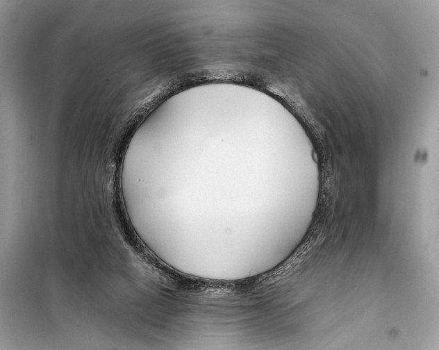 X0000098080066200805021032