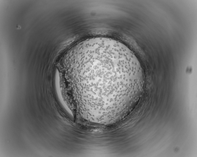 X0000098080068200805021032