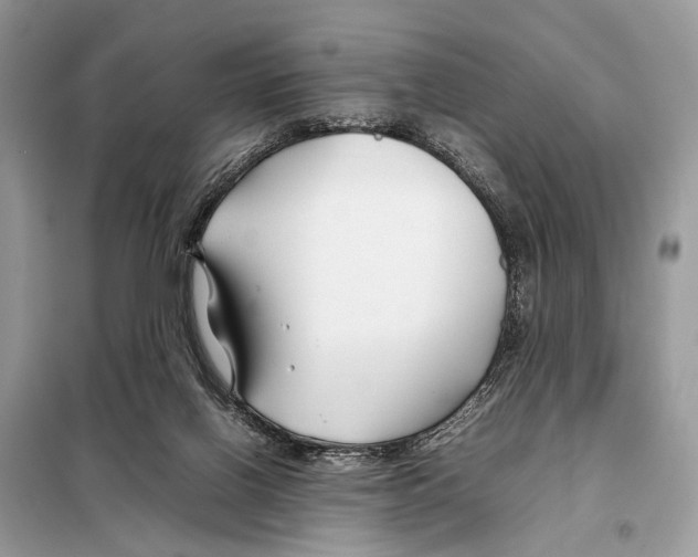 X0000098080070200805021032