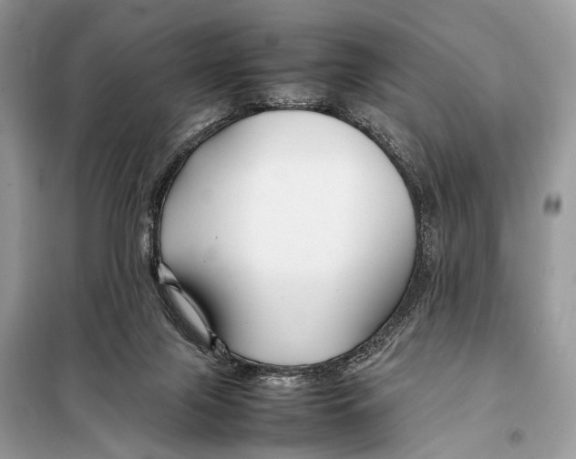 X0000098080071200805021032