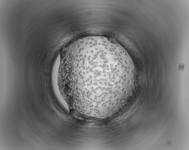X0000098080072200805021032