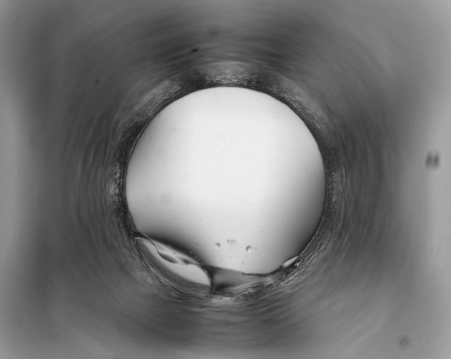 X0000098080073200805021032
