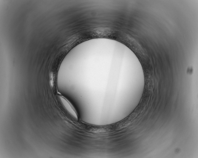 X0000098080075200805021032