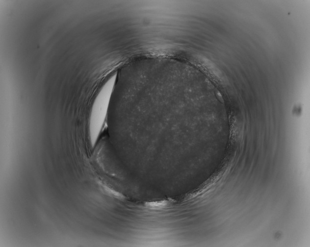 X0000098080076200805021032