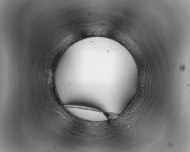 X0000098080077200805021032