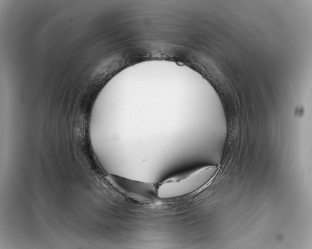 X0000098080078200805021032