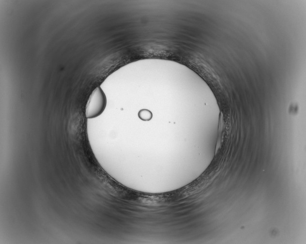 X0000098080079200805021032