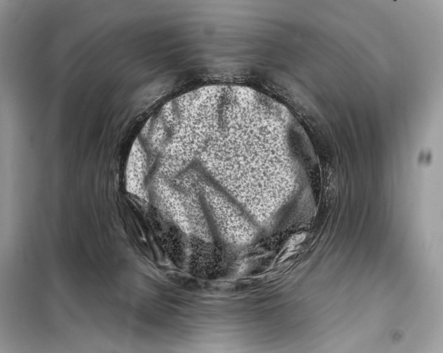 X0000098080080200805021032