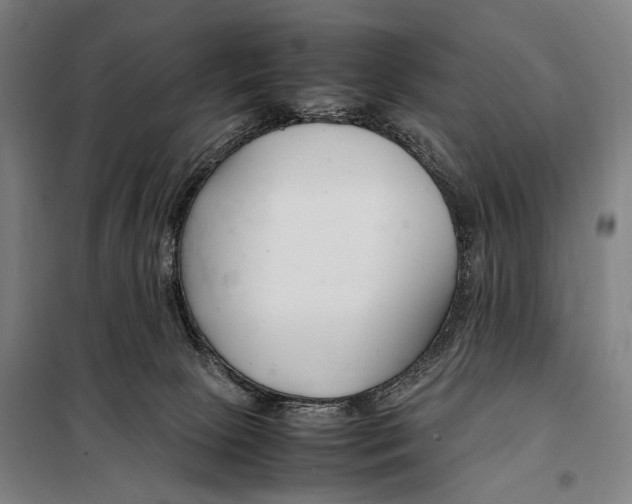 X0000098080081200805021032