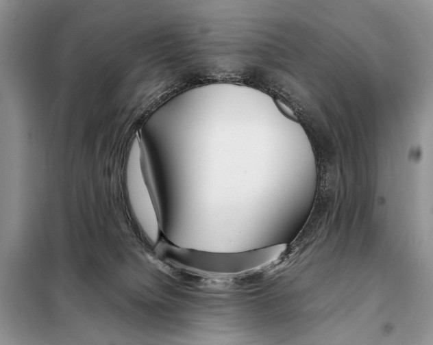 X0000098080084200805021032