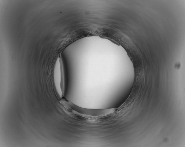 X0000098080088200805021032