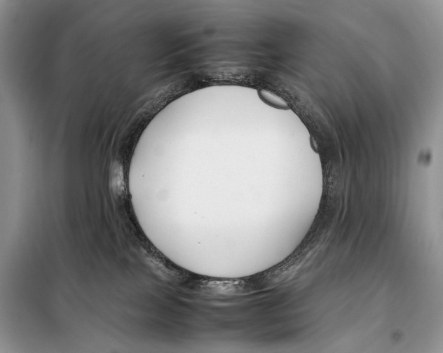 X0000098080089200805021032