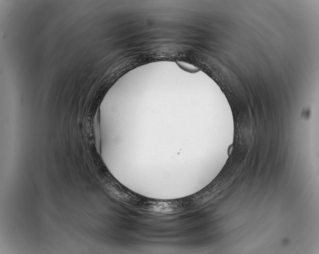 X0000098080091200805021032