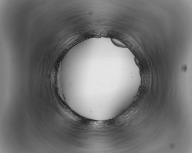 X0000098080092200805021032