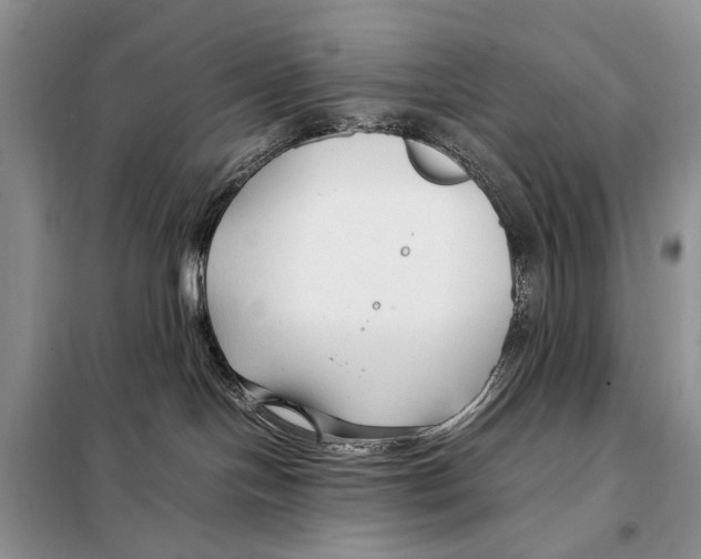 X0000098080094200805021032
