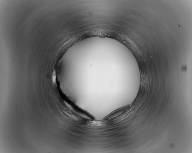 X0000098080095200805021032