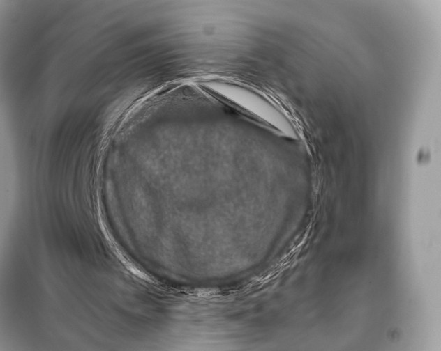 X0000098080097200805021031