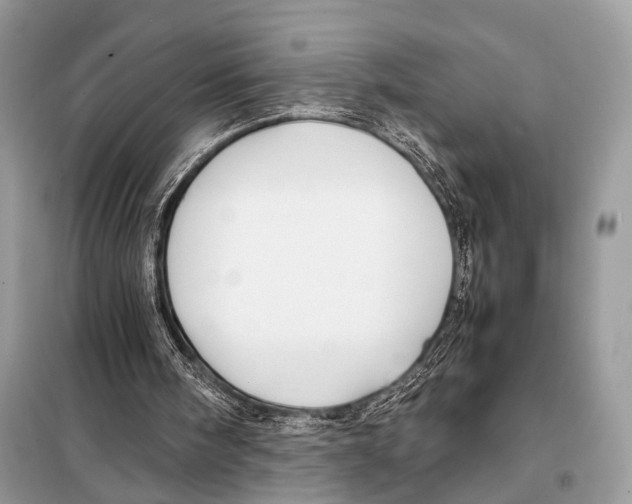 X0000098080098200805021031