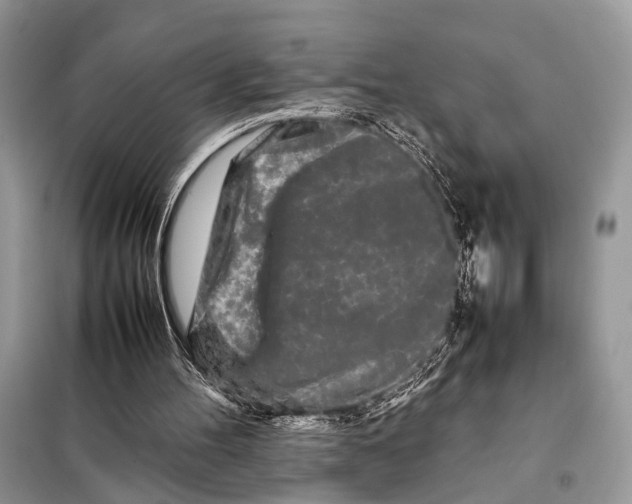 X0000098080100200805021031