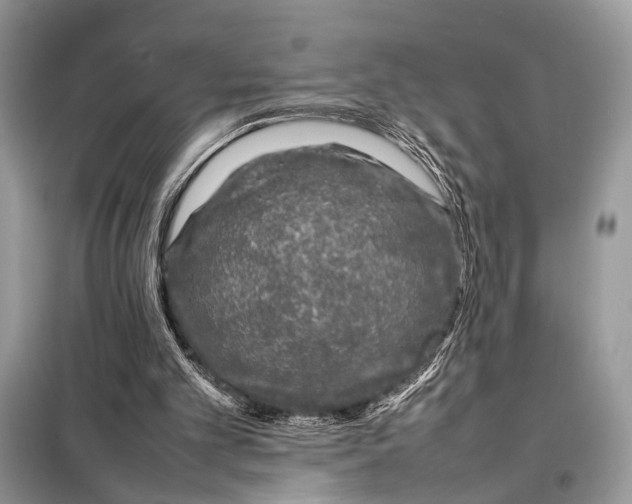 X0000098080101200805021031