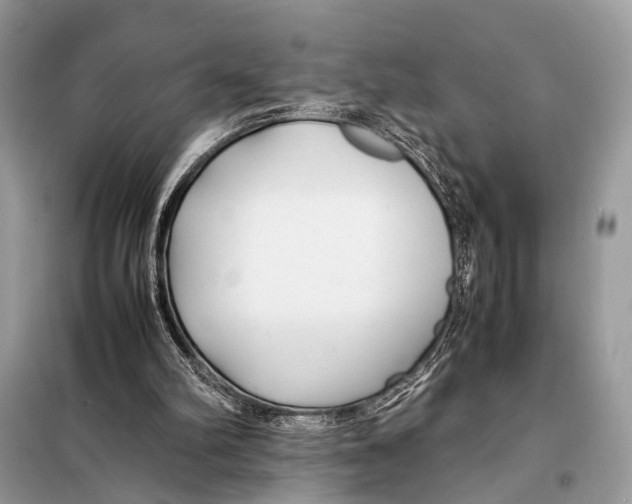 X0000098080102200805021031