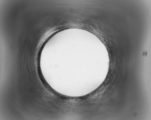 X0000098080103200805021031