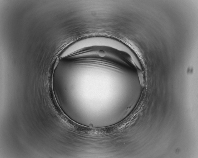 X0000098080105200805021031