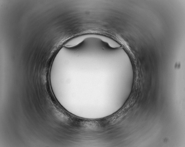 X0000098080106200805021031