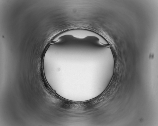 X0000098080107200805021031