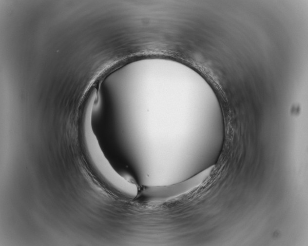 X0000098080108200805021031