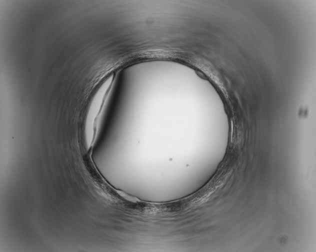 X0000098080109200805021031