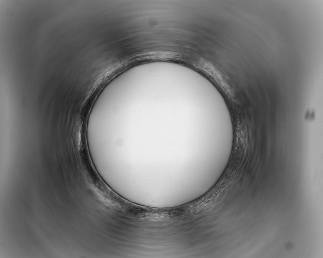 X0000098080110200805021031