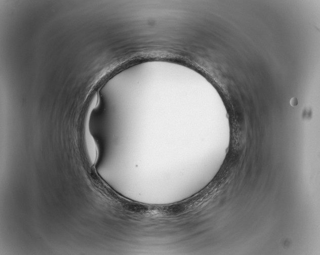 X0000098080111200805021031