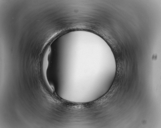 X0000098080112200805021031