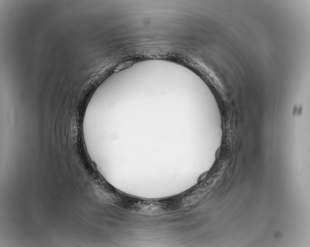 X0000098080113200805021031