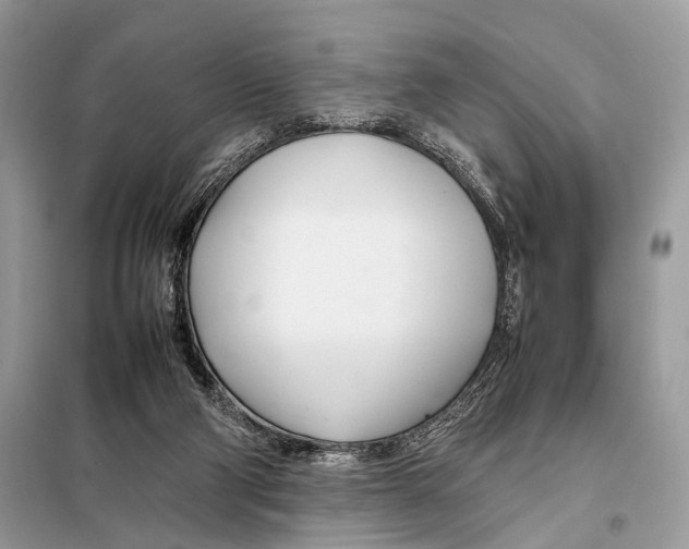 X0000098080114200805021031